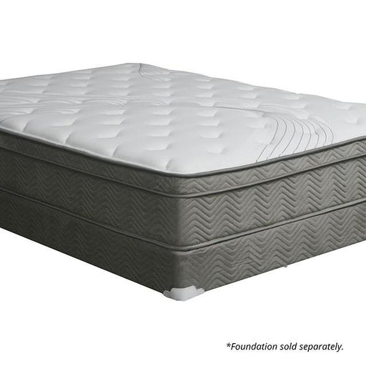Afton 12 Euro Box Pocket Coil - U&U Home Budget Furniture (Carteret, NJ)
