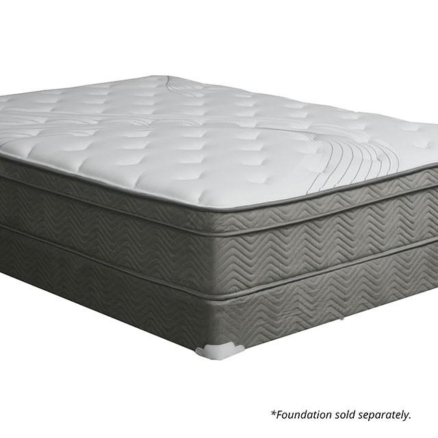 Afton 12 Euro Box Pocket Coil - U&U Home Budget Furniture (Carteret, NJ)