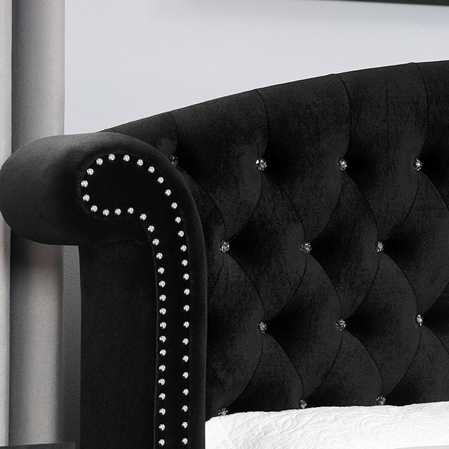 Zohar Bed Black & Pink - U&U Home Budget Furniture (Carteret, NJ)
