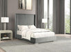 Cadwell Bed Black, Grey, Pink & White - U&U Home Budget Furniture (Carteret, NJ)