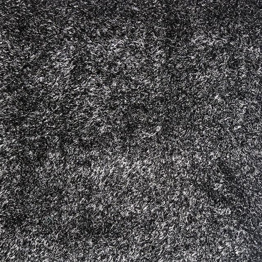 Annmarie Black 5' X 8' Area Rug - U&U Home Budget Furniture (Carteret, NJ)