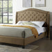 Carly Cal.King, E.King, Full, & Queen Bed Grey & Brown - U&U Home Budget Furniture (Carteret, NJ)