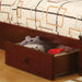 Coney Island Bunk Bed Chrome - U&U Home Budget Furniture (Carteret, NJ)