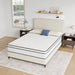 Catmint 10" Full Innerspring Mattress - U&U Home Budget Furniture (Carteret, NJ)