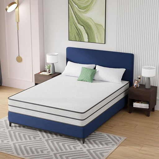 Catmint 10" Queen Innerspring Mattress - U&U Home Budget Furniture (Carteret, NJ)