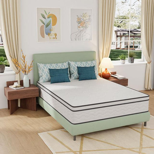 Catmint 12" Queen Innerspring Mattress - U&U Home Budget Furniture (Carteret, NJ)