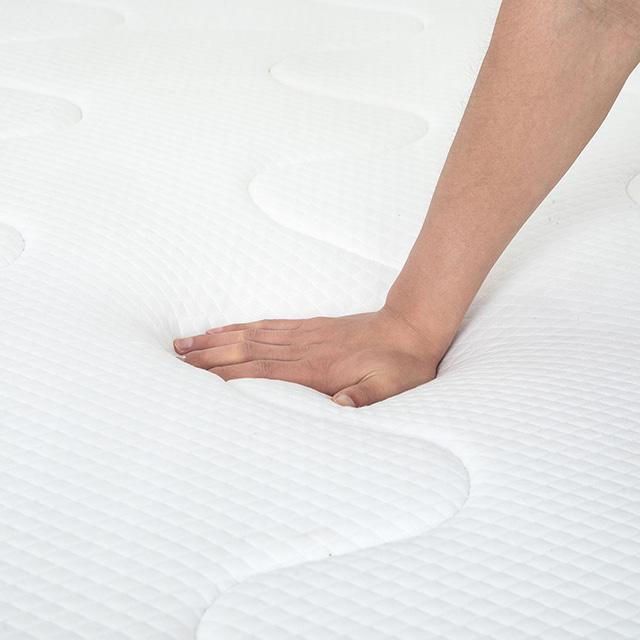 Catmint 10" Twin Innerspring Mattress - U&U Home Budget Furniture (Carteret, NJ)
