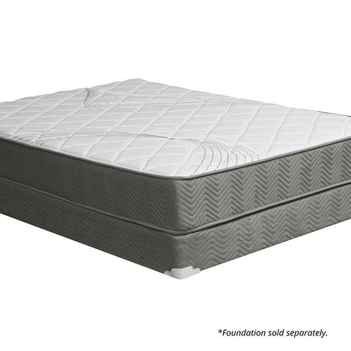 Edrea 10 Tight Top Pocket Coil - U&U Home Budget Furniture (Carteret, NJ)