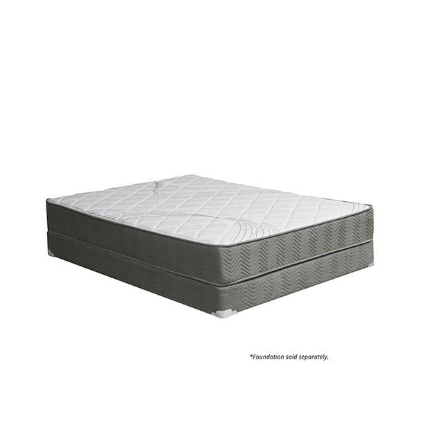 Edrea 10 Tight Top Pocket Coil - U&U Home Budget Furniture (Carteret, NJ)