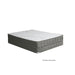 Edrea 10 Tight Top Pocket Coil - U&U Home Budget Furniture (Carteret, NJ)