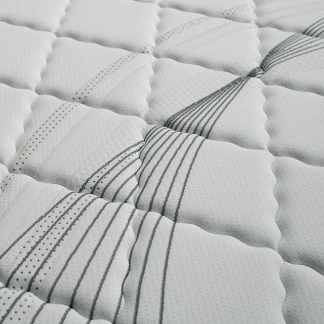 EDREA White/Gray 10" Tight Top Pocket Coil, E.King - U&U Home Budget Furniture (Carteret, NJ)