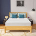 Coreopsis 12" Queen Memory Foam Wave Comfort - U&U Home Budget Furniture (Carteret, NJ)