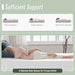 Coreopsis 8" Twin Memory Foam Wave Comfort - U&U Home Budget Furniture (Carteret, NJ)