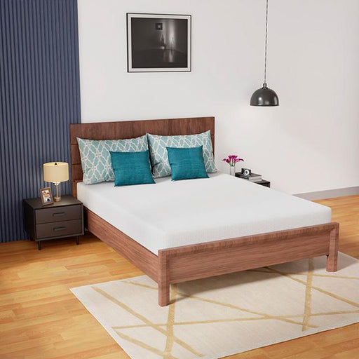Coreopsis Mattress - U&U Home Budget Furniture (Carteret, NJ)