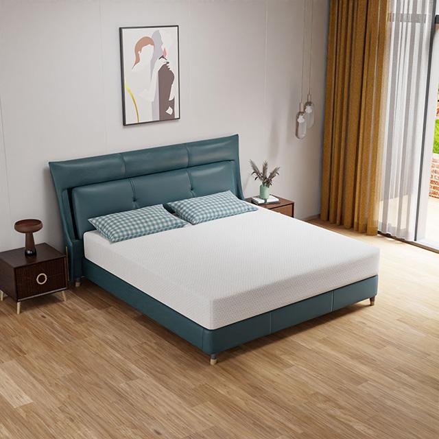 Forsythia 10" E.King Green Tea Gel Memory Foam - U&U Home Budget Furniture (Carteret, NJ)