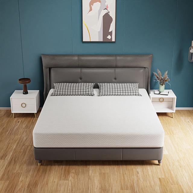 Forsythia 10" Queen Green Tea Gel Memory Foam - U&U Home Budget Furniture (Carteret, NJ)
