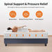 Forsythia 12" E.King Green Tea Gel Memory Foam - U&U Home Budget Furniture (Carteret, NJ)