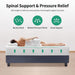 Forsythia 12" Queen Green Tea Gel Memory Foam - U&U Home Budget Furniture (Carteret, NJ)