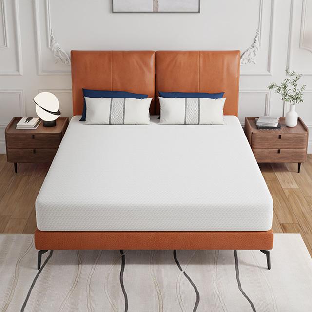 Forsythia 8" Queen Green Tea Gel Memory Foam - U&U Home Budget Furniture (Carteret, NJ)
