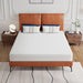 Forsythia 8" Queen Green Tea Gel Memory Foam - U&U Home Budget Furniture (Carteret, NJ)