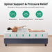 Forsythia Mattress - U&U Home Budget Furniture (Carteret, NJ)