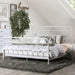 IRIA Vintage White Cal.King, E.King, & Full Bed - U&U Home Budget Furniture (Carteret, NJ)