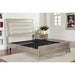 FRAMOS Black Adjustable Bed Frame - E.King - U&U Home Budget Furniture (Carteret, NJ)