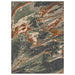 Wilhelm Area Rug - U&U Home Budget Furniture (Carteret, NJ)