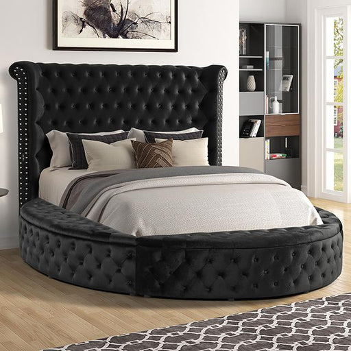 SANSOM E.King & Queen Bed, Black, Blue, & Grey - U&U Home Budget Furniture (Carteret, NJ)