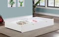 PRIAM Trundle/Drawers, White/Gray - U&U Home Budget Furniture (Carteret, NJ)