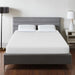 Artemisia 10" Memory Foam Mattress White - U&U Home Budget Furniture (Carteret, NJ)