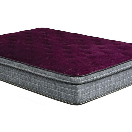 Minnetonka Purple 13" Euro Pillow Top Mattress, Cal.King - U&U Home Budget Furniture (Carteret, NJ)