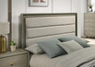 Rainier Bed - U&U Home Budget Furniture (Carteret, NJ)