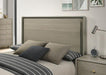 Rainier Bed Gray - U&U Home Budget Furniture (Carteret, NJ)