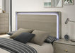 Rainier Bed Gray - U&U Home Budget Furniture (Carteret, NJ)