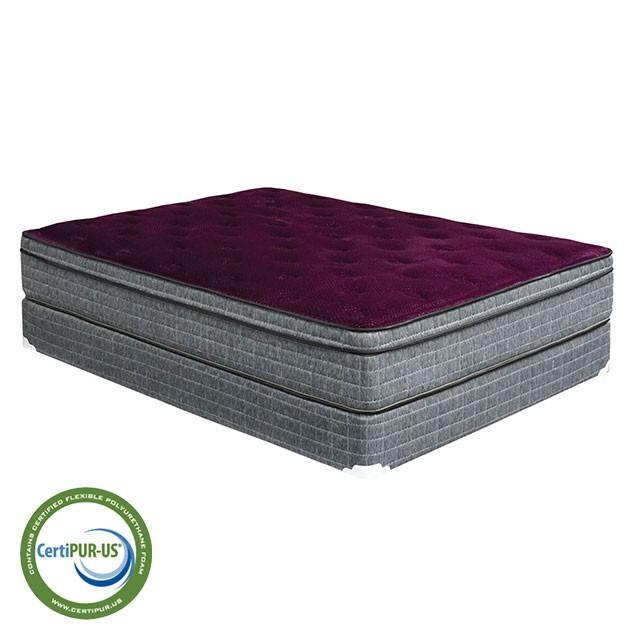 Minnetonka Purple 13" Euro Pillow Top Mattress, Cal.King - U&U Home Budget Furniture (Carteret, NJ)
