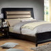 Golva Bed Beige & Black - U&U Home Budget Furniture (Carteret, NJ)