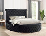 Delilah Cal.King & E.King Bed - U&U Home Budget Furniture (Carteret, NJ)