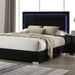 Sinistra Bed Beige, Black, White - U&U Home Budget Furniture (Carteret, NJ)