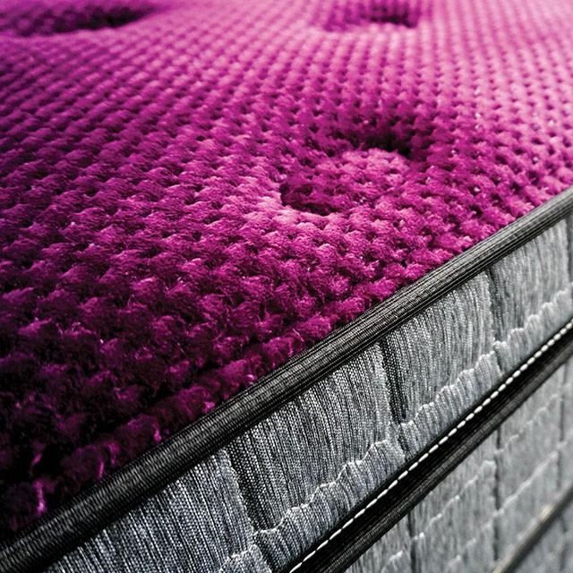 Minnetonka Purple 13" Euro Pillow Top Mattress, Cal.King - U&U Home Budget Furniture (Carteret, NJ)