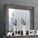 Janeiro Gray Mirror - U&U Home Budget Furniture (Carteret, NJ)