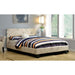 Evans E.King & Cal.King Bed Espressso, White, & Camel - U&U Home Budget Furniture (Carteret, NJ)