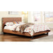 Evans E.King & Cal.King Bed Espressso, White, & Camel - U&U Home Budget Furniture (Carteret, NJ)