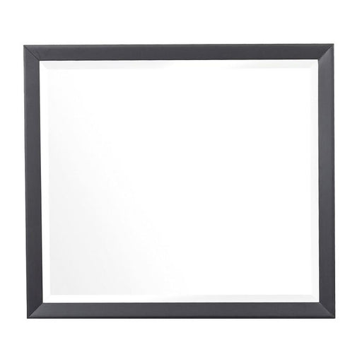 Raku Mirror in Gray 1711-6 - U&U Home Budget Furniture (Carteret, NJ)