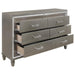 Tamsin Dresser in Silver Grey Metallic 1616-5 - U&U Home Budget Furniture (Carteret, NJ)