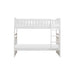 Galen Twin/Twin Bunk Bed in White B2053W-1* - U&U Home Budget Furniture (Carteret, NJ)