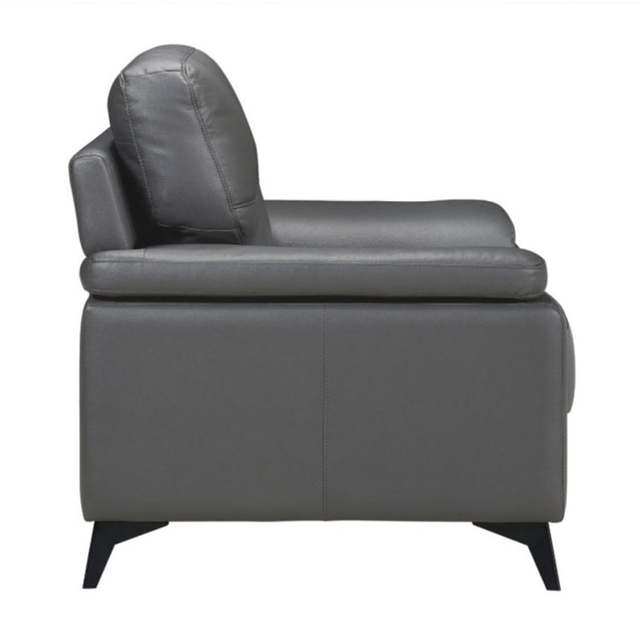 Mischa Chair in Dark Gray 9514DGY-1 - U&U Home Budget Furniture (Carteret, NJ)