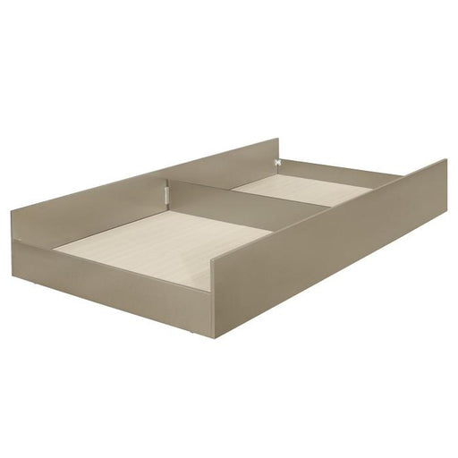 Youth Loudon Trundle/Toybox in Champagne Metallic B1515-R - U&U Home Budget Furniture (Carteret, NJ)