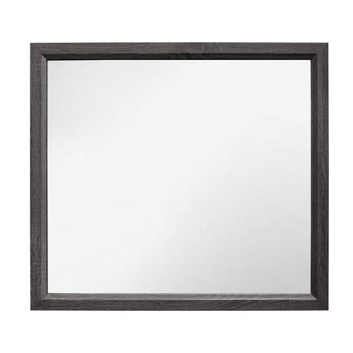 Davi Mirror in Gray 1645-6 - U&U Home Budget Furniture (Carteret, NJ)