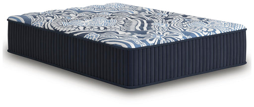 Firm Luxe 2.0 Mattress - U&U Home Budget Furniture (Carteret, NJ)